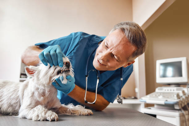 Best Emergency Tooth Extraction in Louisville, KY
